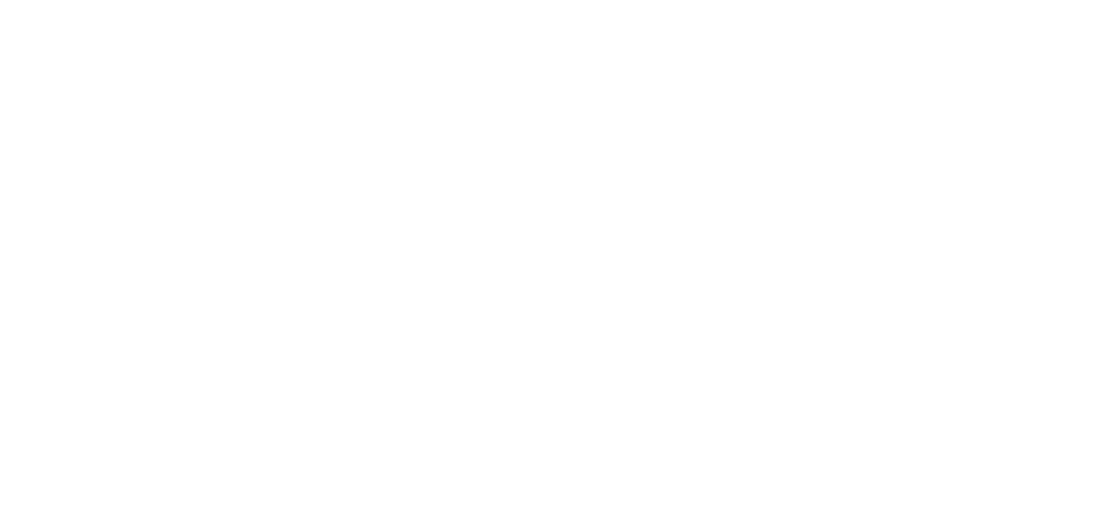 Vetenskapsrådet logo